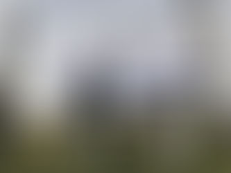 Students wearing the flag of Israel in Auschwitz