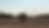 no-se-en-que-direccion-viene-la-brisa-fotograma3.png