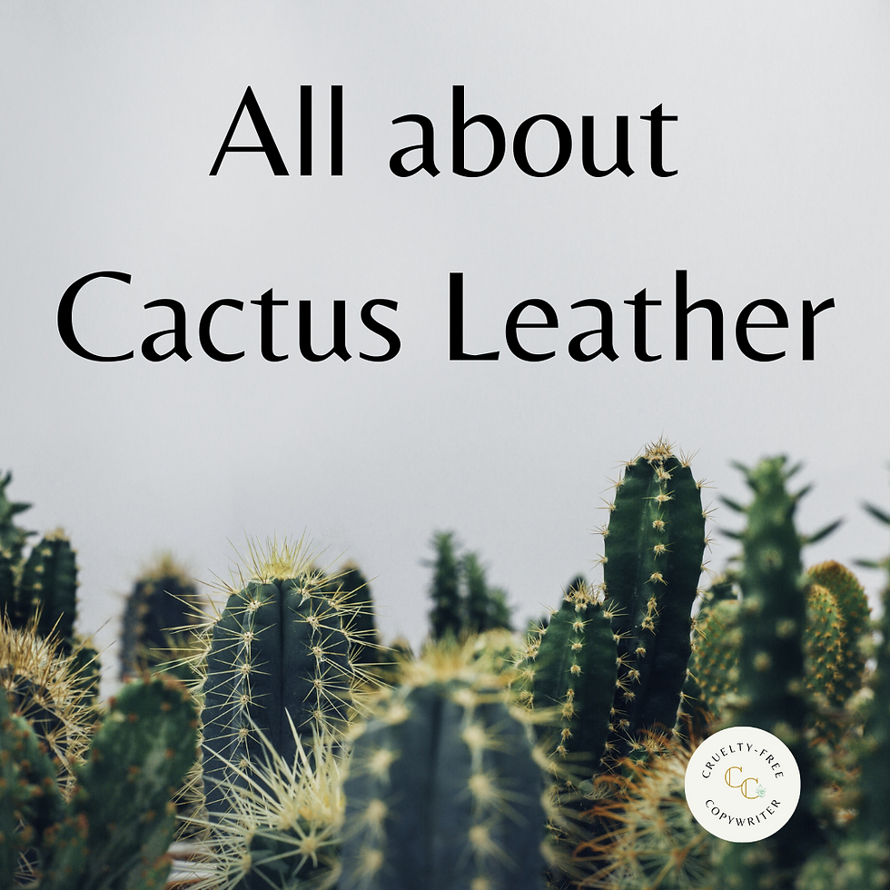All About Cactus Leather
