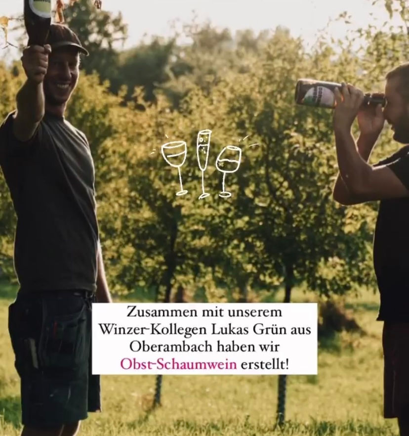 Miniaturbild: Olinger Apfel-Birnen-Schaumwein