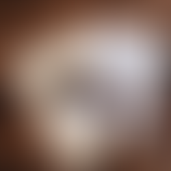 Navigating Family Law: Expert Tips for Divorce Proceedings