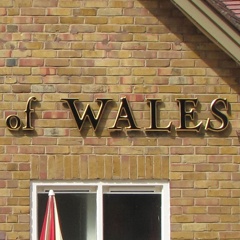 Individual Letters