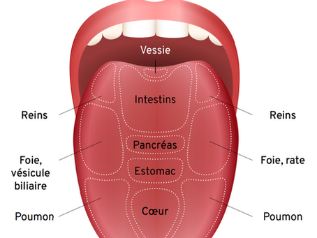 Comprendre l'observation de la langue en MTC