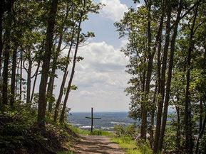 Pursuit of Peace part 1 (Reprint)