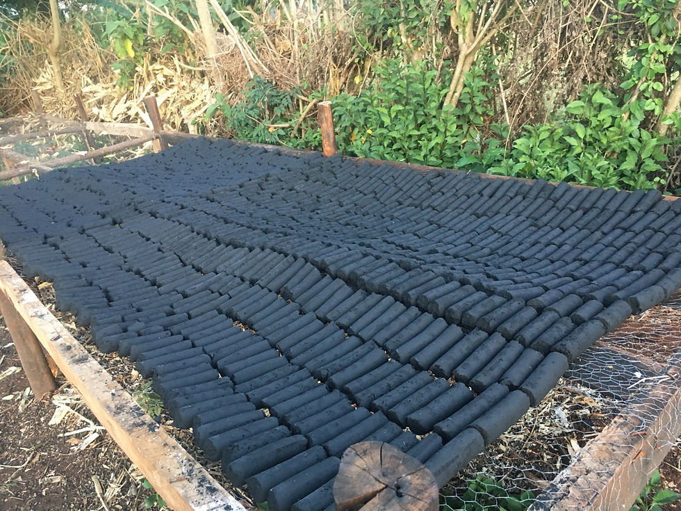 -5834738884825692251_121 (2).jpg