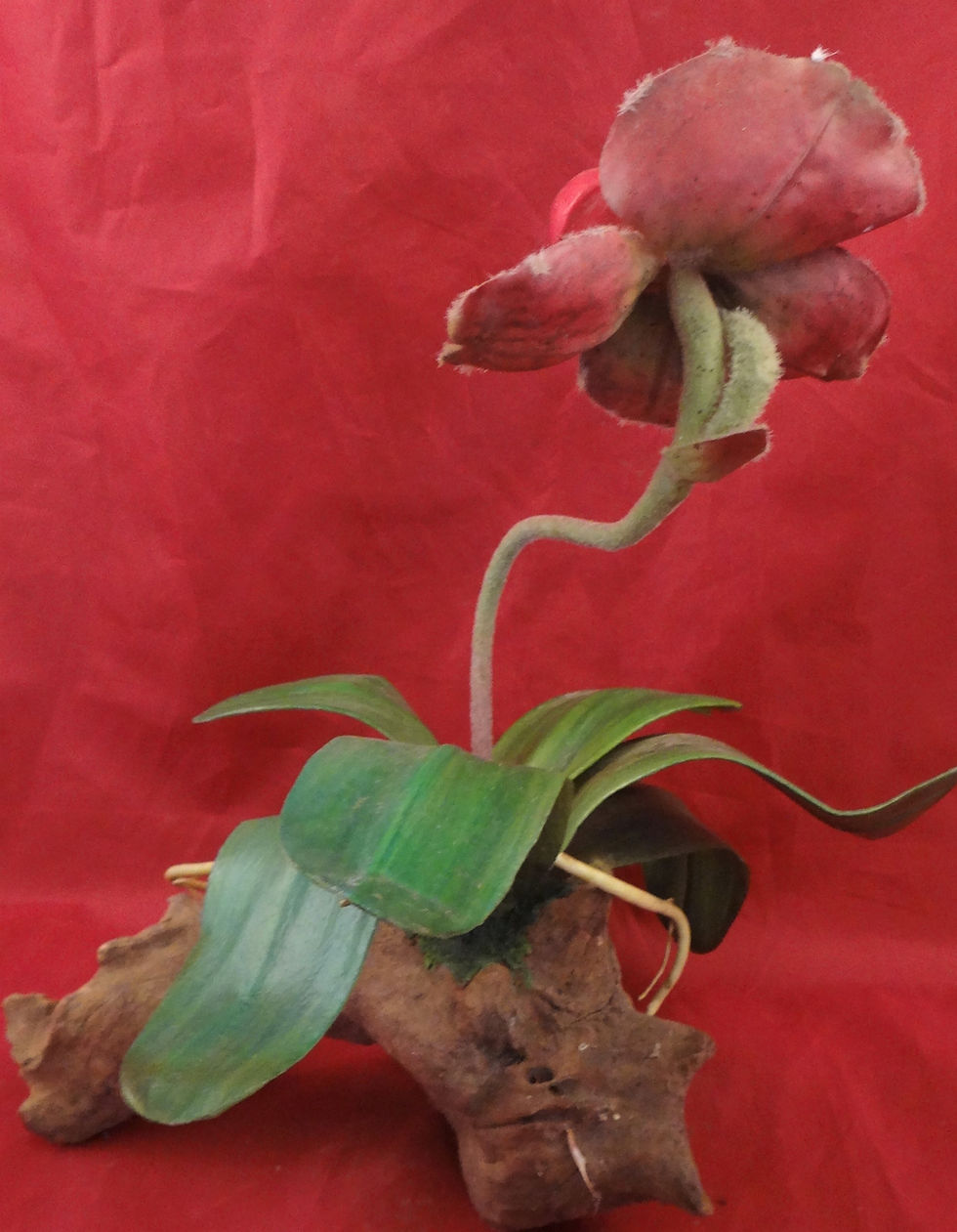 Thumbnail: Faux Orchids on Driftwood