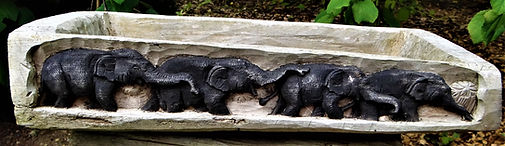 DSC01766 (2).JPG