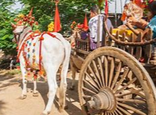 ox cart 3.png