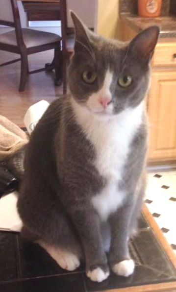 Meet Zane's Zoo Mascot