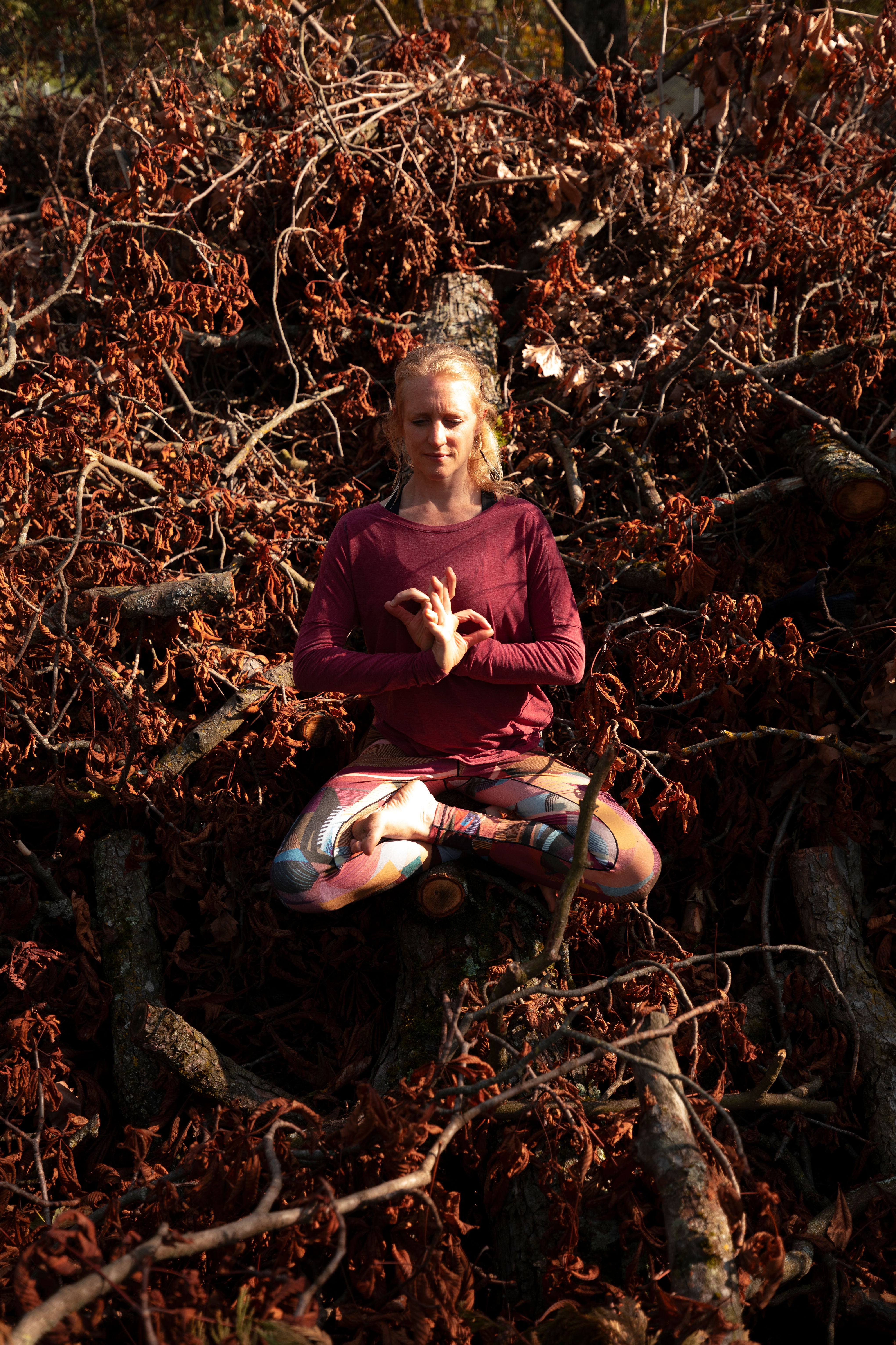 Cours de Dharma Vinyasa - option avec enseignement