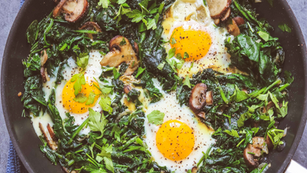 Download Your FREE High Protein Recipe eBook