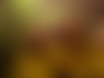 Geen pleister geplakt bij Nacht van Eemnes