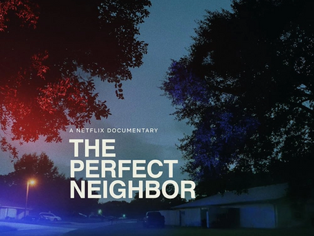 The Perfect Neighbor Review | Netflix