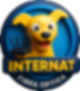 LOGO INTERNAT_edited.png
