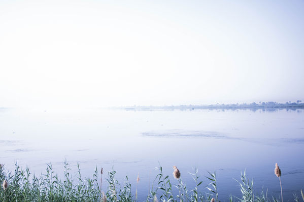 @roxanefrechephotography