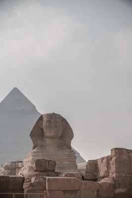 @roxanefrechephotography