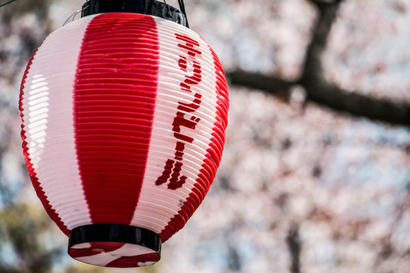 @roxanefrechephotography