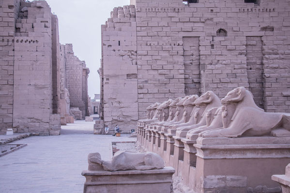 @roxanefrechephotography