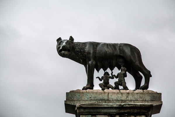 @roxanefrechephotography