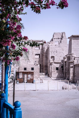 @roxanefrechephotography