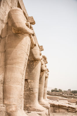 @roxanefrechephotography