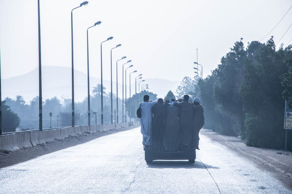 @roxanefrechephotography