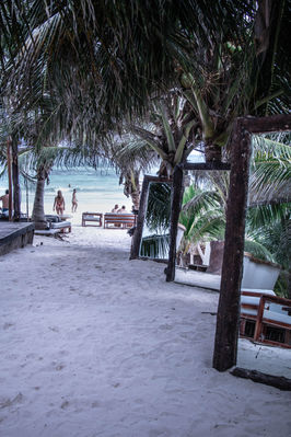 @roxanefrechephotography