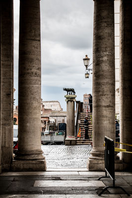 @roxanefrechephotography