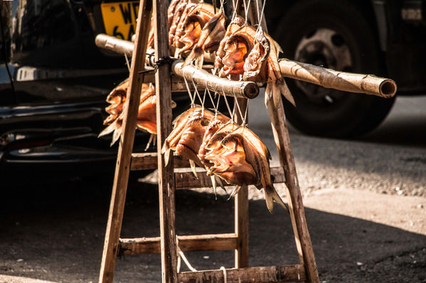 @roxanefrechephotography