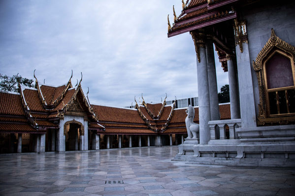 @roxanefrechephotography