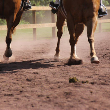 double hooves.jpeg