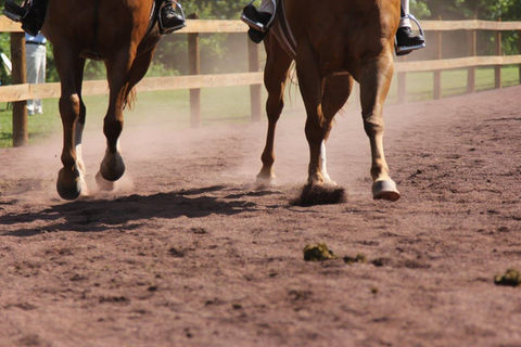double hooves.jpeg