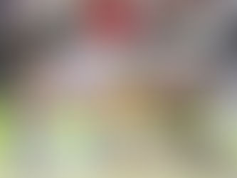 やわらかいシリコン素材の小物&薄くてしなやかなファイルシリーズ「Bloomin」 2F