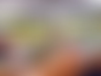 プロが選んだ注目の文房具を試せる「セントラルスタッフイチオシ文房具」を開催! 2F