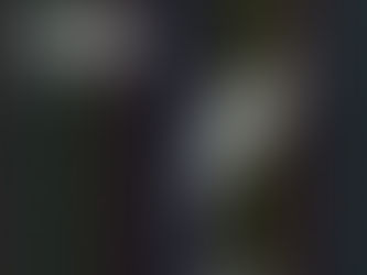 星槎道都大学美術学部 卒展+2021