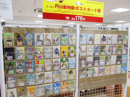 さっぽろ円山動物園ポストカード展を開催中! 3F