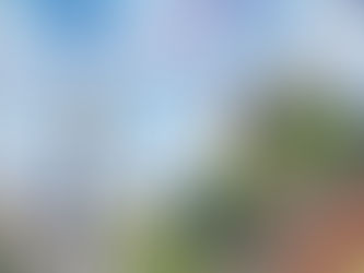 第6回 針と糸 碓井玲子作品展