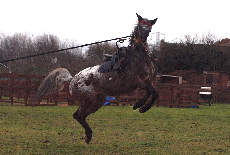 Storm