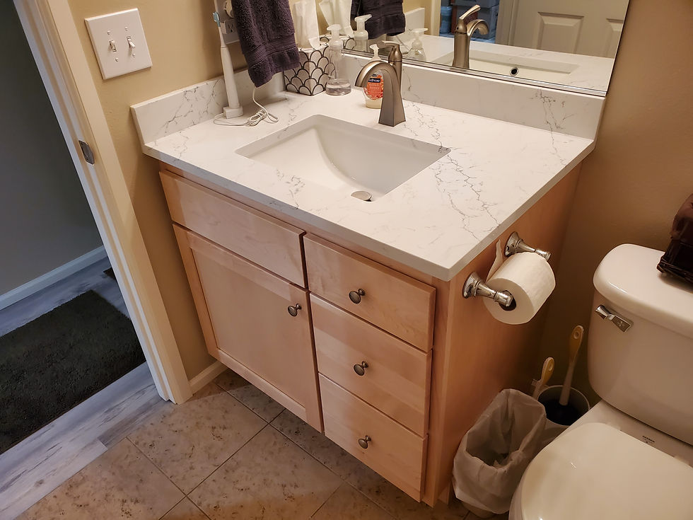 Everett Basement Conversion