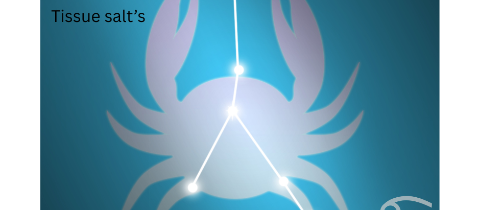 Cancer the Crab & Calcarea Fluorica – Strength Behind the Support