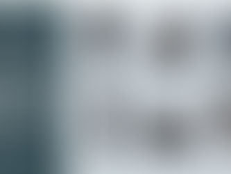 IPO joins search for historic jewels stolen from Germany