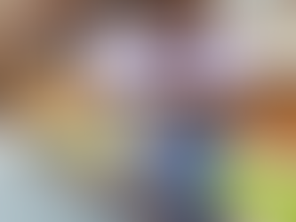 IPO AT VIENNA UNODC CND