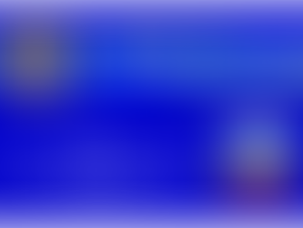 IPO Section Slovenia formalization