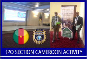 IPO SECTION CAMEROON ACTIVITY