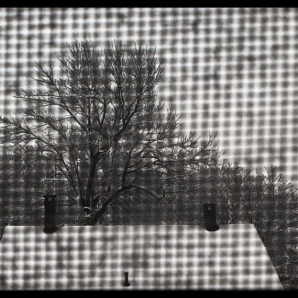 A Winter to Remembered