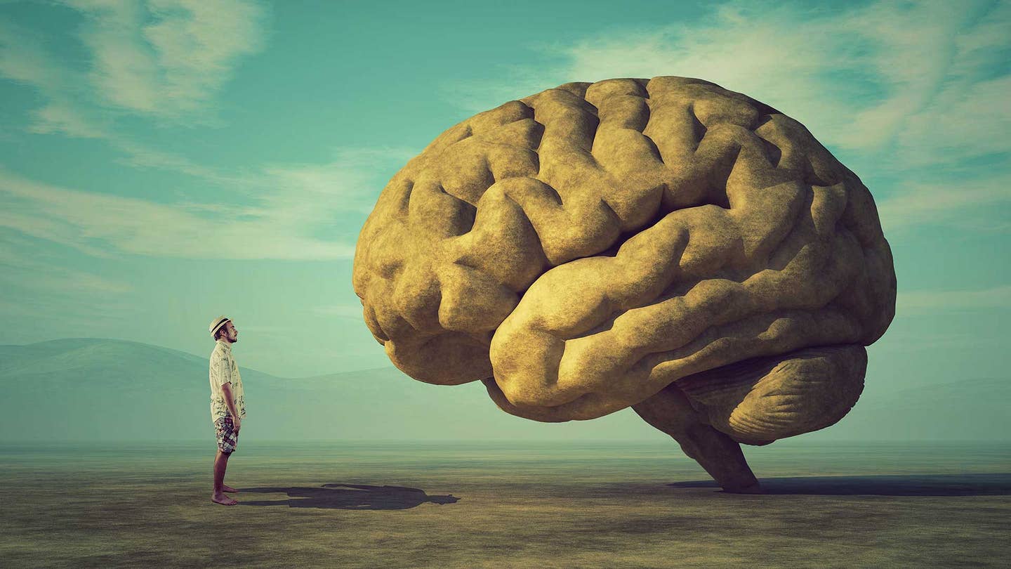 A person standing beside an oversized human brain in an open landscape