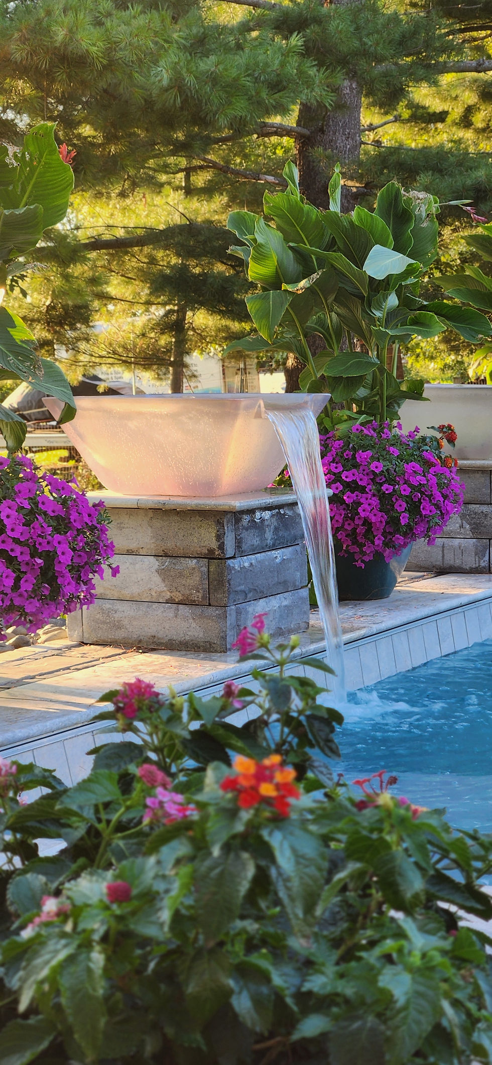 A combination of potted flowers and lush green plantings are great accents around a pool.