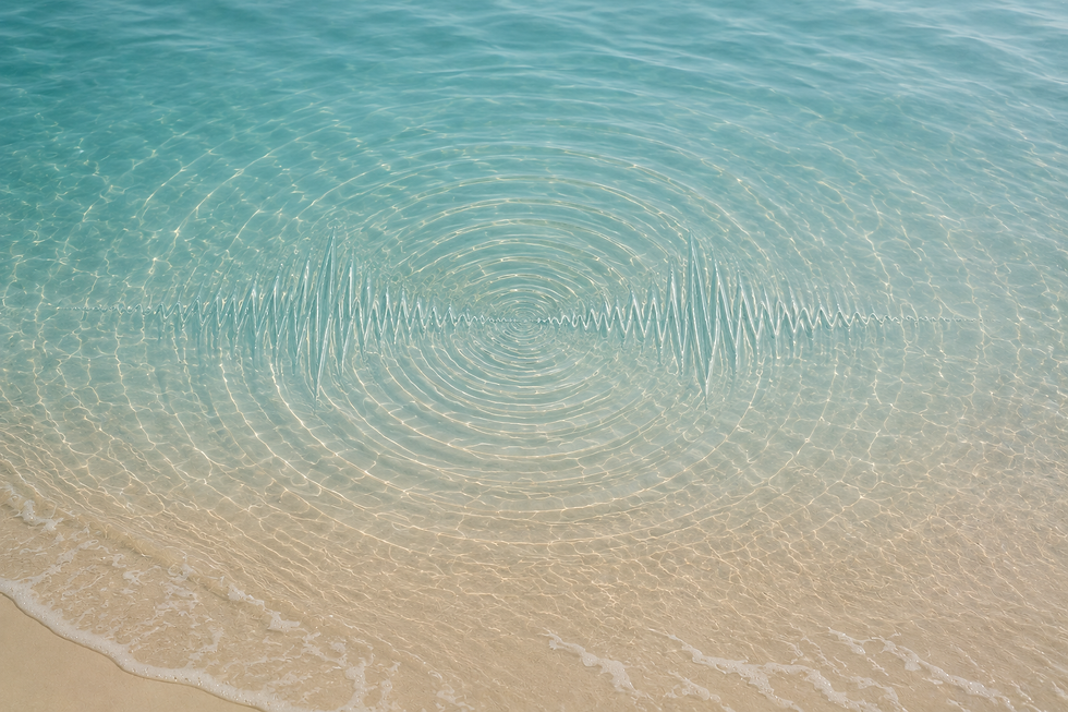 website image 5.png