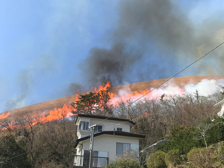 大室山の山焼き
