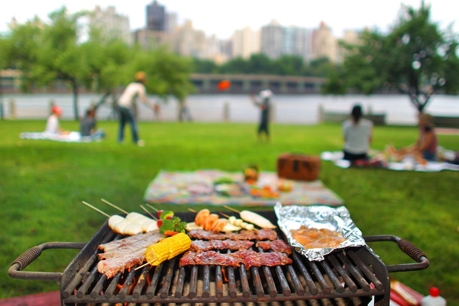 Barbekü Partileri ve Piknik